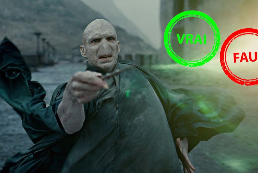 Harry Potter : t’es un moldu si t’as moins de 15/20 à ce quiz vrai ou faux sur Voldemort