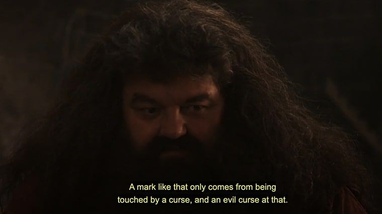 Hagrid dans Harry Potter à l'école des sorciers