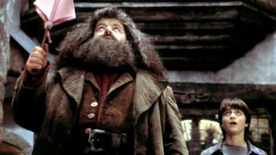 Harry Potter : Hagrid avait-il deviné qu&rsquo;Harry était un Horcruxe ? #Théorie