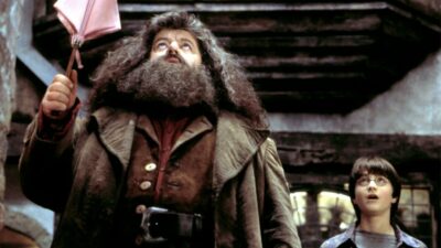 Harry Potter : Hagrid avait-il deviné qu'Harry était un Horcruxe ? #Théorie