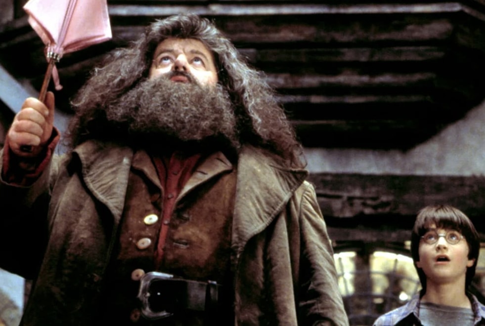 Harry Potter : Hagrid avait-il deviné qu’Harry était un Horcruxe ? #Théorie