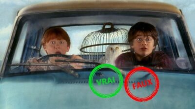 Harry Potter et la Chambre des secrets : tu bats Voldemort si tu as 5/5 à ce quiz vrai ou faux sur le film