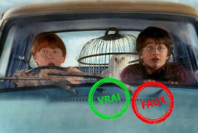 Harry Potter et la Chambre des secrets : tu bats Voldemort si tu as 5/5 à ce quiz vrai ou faux sur le film
