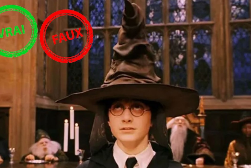Seul quelqu’un qui a vu 10 fois Harry Potter à l’école des sorciers aura 5/5 à ce quiz vrai ou faux