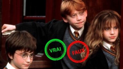 Harry Potter à l'école des sorciers : seul quelqu'un qui a vu 5 fois le film aura 5/5 à ce quiz vrai ou faux