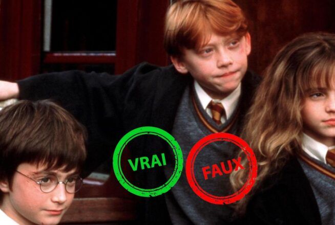 Harry Potter à l&rsquo;école des sorciers : seul quelqu&rsquo;un qui a vu 5 fois le film aura 5/5 à ce quiz vrai ou faux