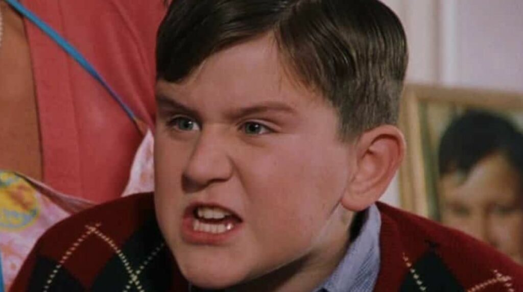 Dudley Dursley dans Harry Potter