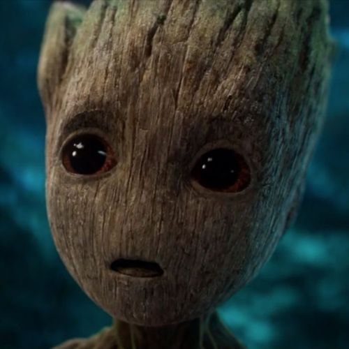 Groot