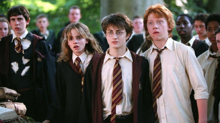 Harry Potter : quelles sont vraiment les descriptions physiques des personnages dans les livres ?