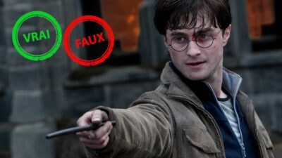 T'es un sang-de-bourbe si tu as moins de 10/15 à ce quiz vrai ou faux sur Harry Potter