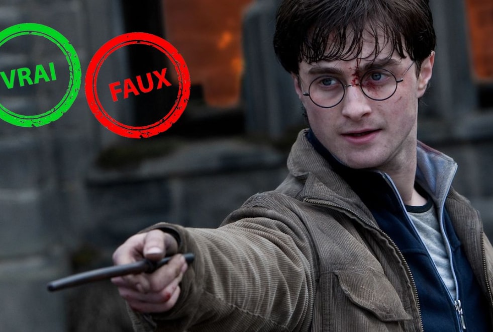 T’es un sang-de-bourbe si tu as moins de 10/15 à ce quiz vrai ou faux sur Harry Potter