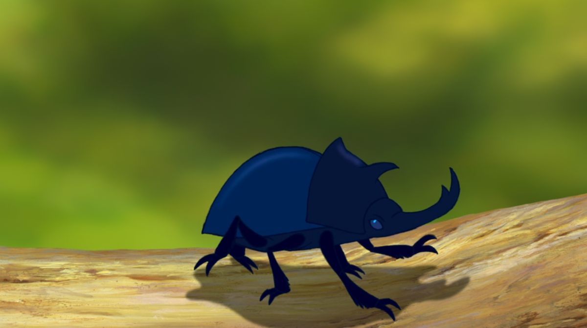 insecte-le-roi-lion