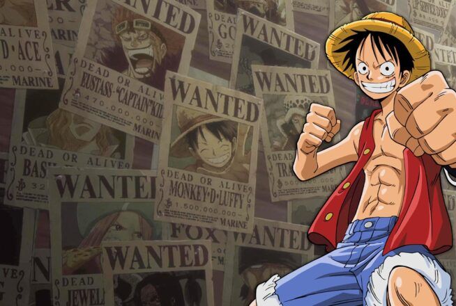 Quiz One Piece : choisis des personnages dans ces duels, on te donnera une prime