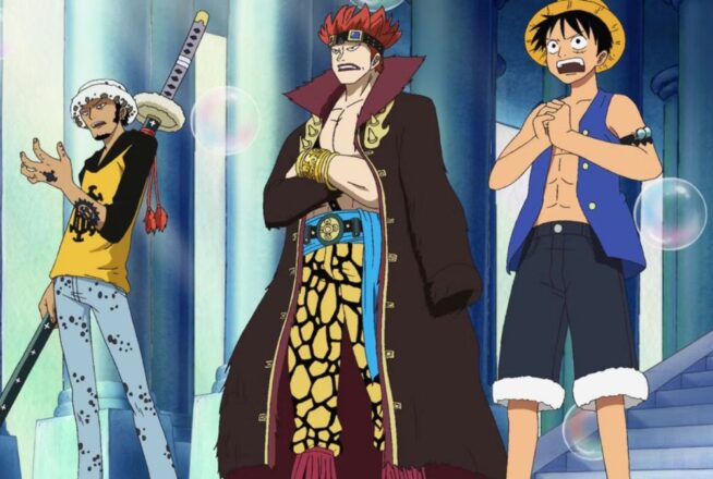 Quiz One Piece : donne nous ton âge, on te dira quel capitaine pirate tu es