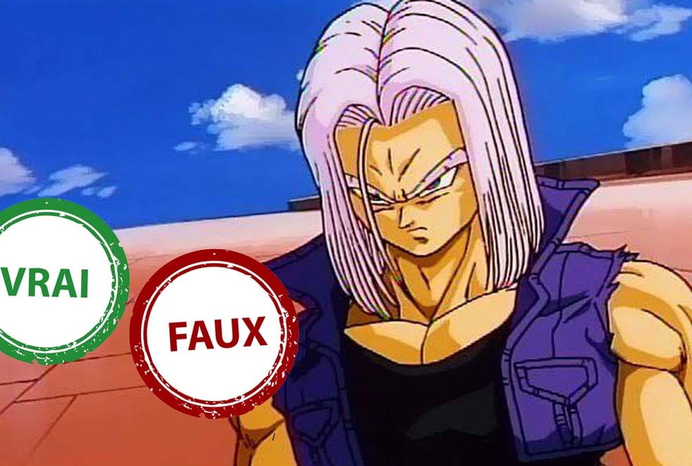 Dragon Ball : seule Bulma aura 10/10 à ce quiz Vrai ou Faux sur Trunks du Futur