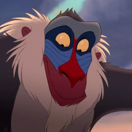 Rafiki