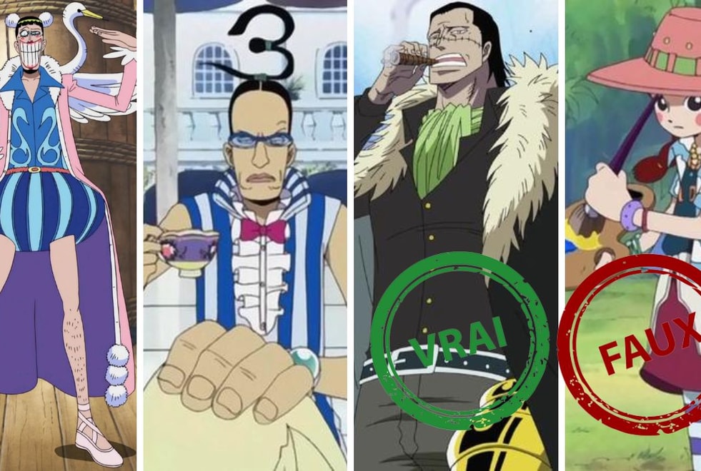 One Piece : Seul un vrai pirate aura 10/10 à ce Vrai ou Faux sur le Baroque Works