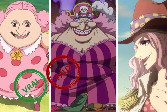 Quiz One Piece : seul un Empereur des mers aura 10/10 à ce vrai ou faux sur Big Mom