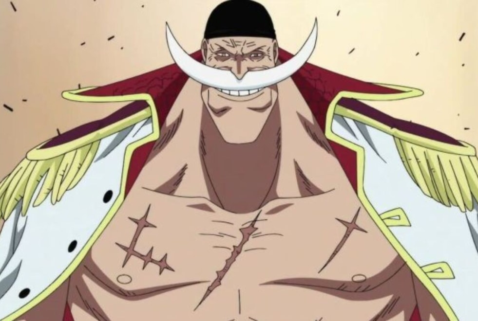 One Piece : pourquoi Barbe Blanche porte-t-il ce nom alors qu’il n’a pas de barbe ?