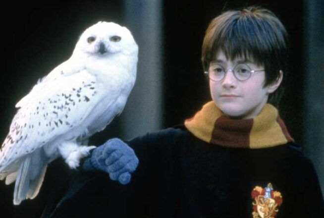 Harry Potter à l’école des sorciers : seul quelqu’un qui regarde le film tous les ans aura 5/5 à ce quiz