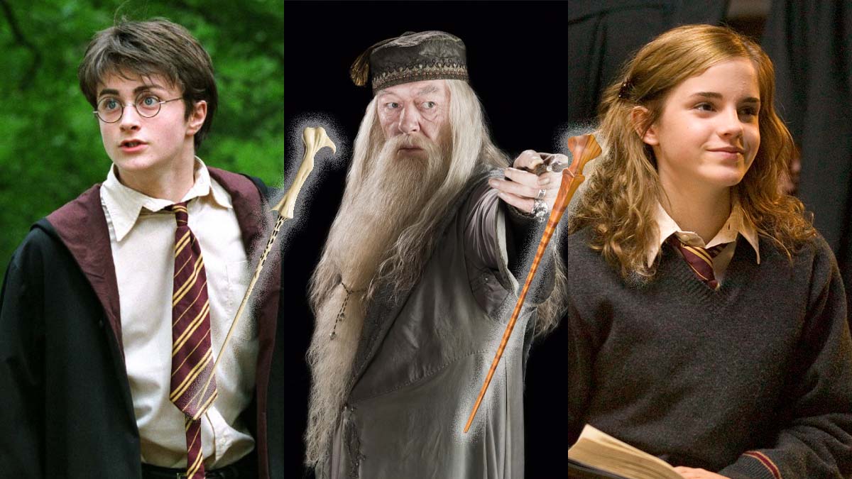 Harry Potter : tu es accepté à Poudlard si tu arrives à relier la bonne baguette à son personnage