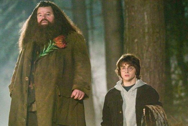 Harry Potter : le saviez-vous ? Ce n’est pas Robbie Coltrane qui joue Hagrid dans certaines scènes