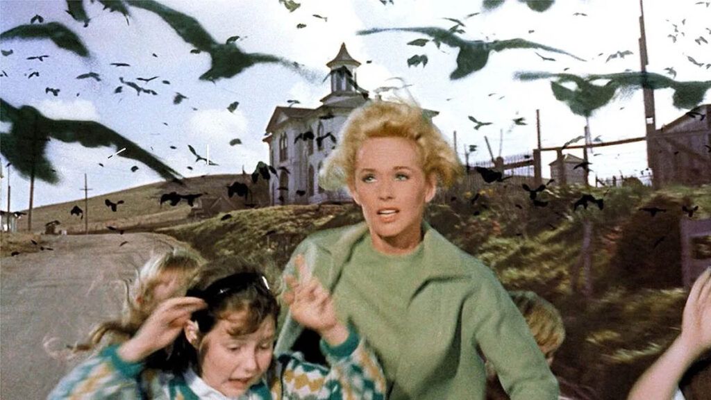 Les Oiseaux, le film culte d'Alfred Hitchcock