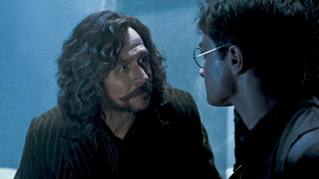 sirius black et harry dans Harry Potter et l'ordre du phénix