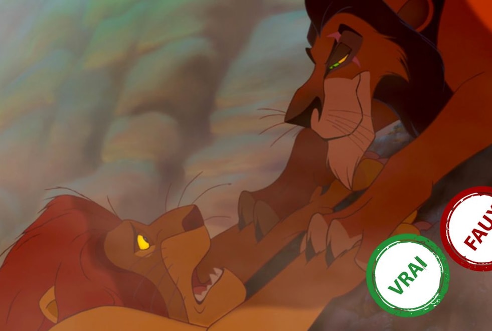 Le Roi Lion : tu sauves Mufasa si tu as 15/15 à ce quiz vrai ou faux sur le film