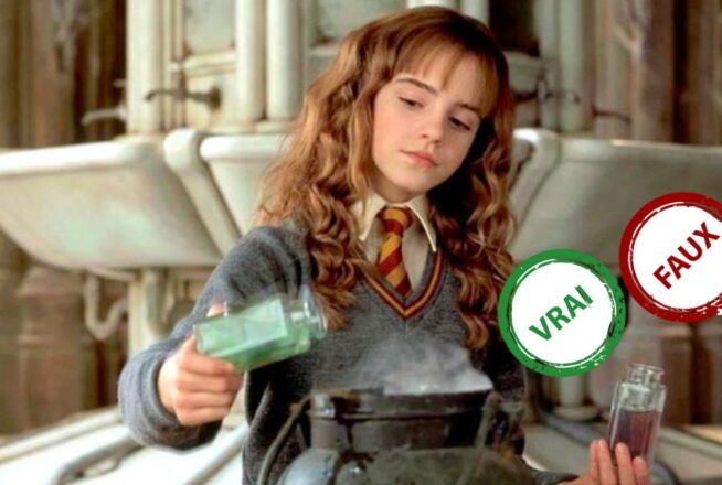 Harry Potter : seul un Gryffondor aura 5/5 à ce quiz vrai ou faux sur Hermione Granger