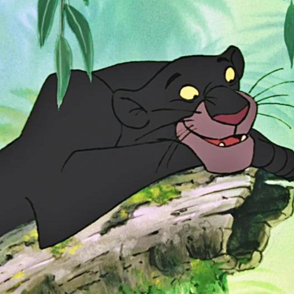 Bagheera