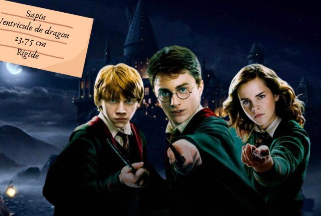 Quiz Harry Potter : tu es embauché chez Ollivander si tu relies ces 5 baguettes à leur propriétaire