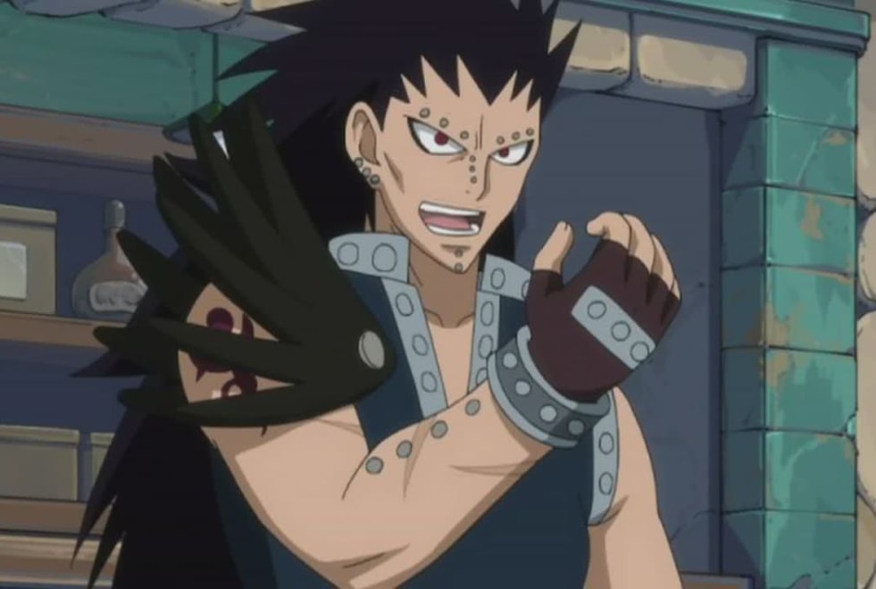 Tu es viré de Fairy Tail si tu n’as pas plus de 7/10 à ce quiz sur Gajil