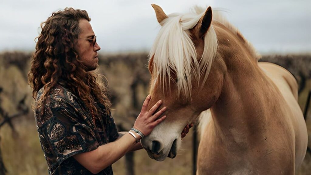 julien doré avec un cheval dans la série TF1 panda