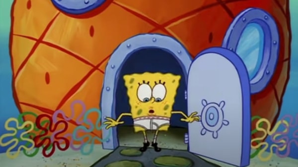 bob-leponge