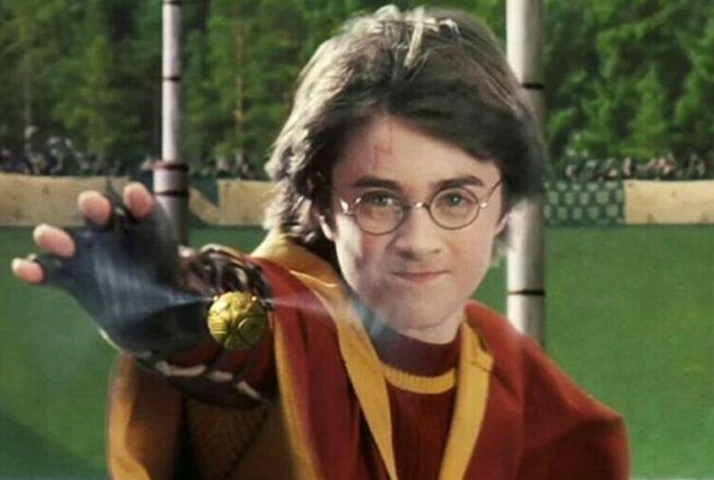 Harry Potter : seul un vrai Gryffondor aura 5/5 à ce quiz sur le héros de la saga