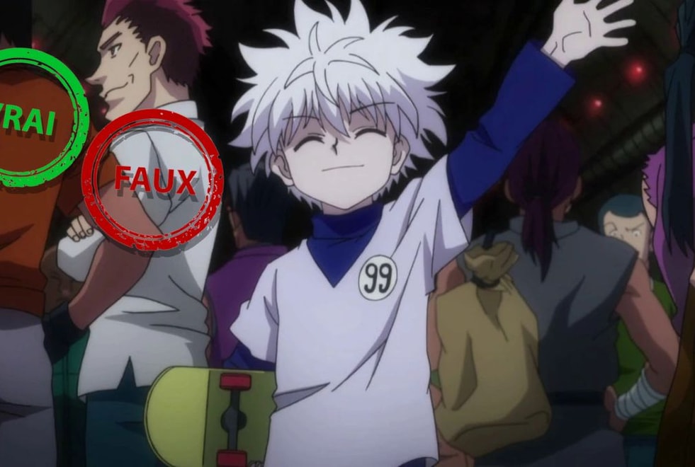 Hunter x Hunter : tu rejoins les Zoldik si tu as 10/10 à ce quiz vrai ou faux sur Kirua