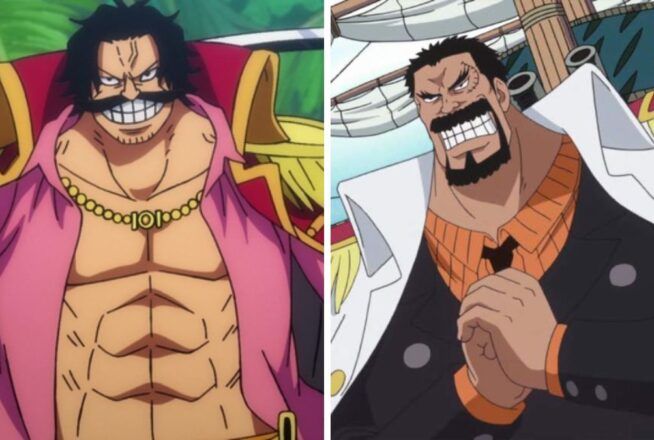 Quiz One Piece : on te dit si tu es Roger ou Garp en 3 questions
