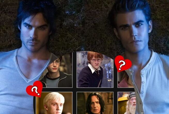 Quiz : élimine un personnage Harry Potter et on te dit si tu épouses Damon ou Stefan Salvatore dans The Vampire Diaries