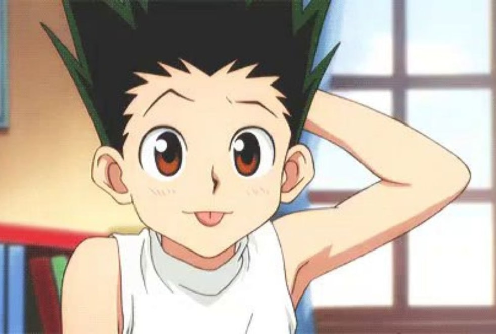 Aucun fan de Hunter x Hunter n’a réussi à avoir 5/5 à ce quiz sur Gon