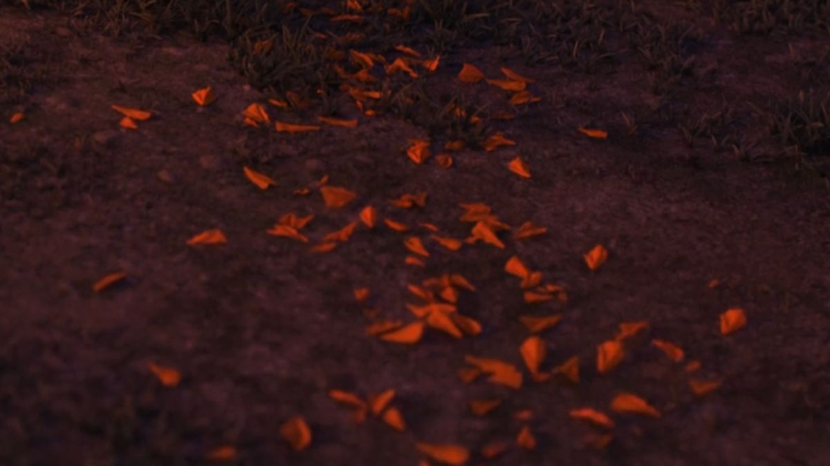 premiere-image-du-film-coco