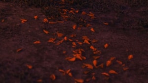 premiere-image-du-film-coco