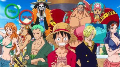 One Piece : tu intègres la flotte de Luffy si tu as 10/10 à ce quiz vrai ou faux sur l'équipage du Chapeau de Paille