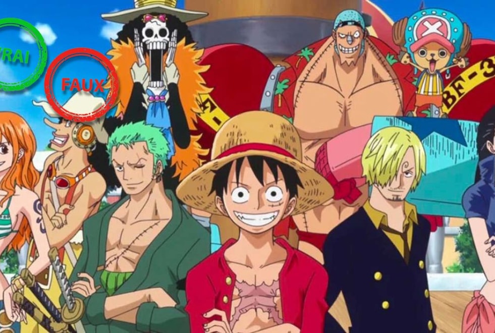 One Piece : tu intègres la bande de Luffy si tu as 10/10 à ce quiz vrai ou faux sur l’équipage du Chapeau de Paille