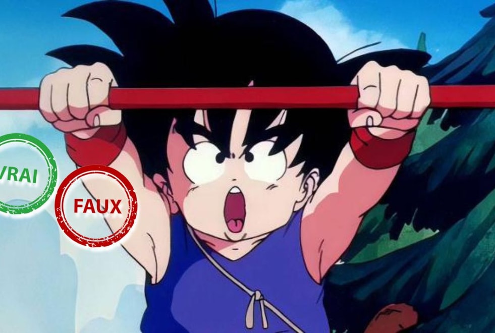 T’as passé ta jeunesse devant Dragon Ball si t’as 10/10 à ce quiz vrai ou faux sur l’enfance de Goku