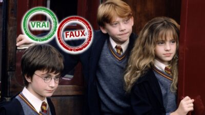 Harry Potter : impossible d’avoir 5/5 à ce quiz vrai ou faux sur la saga