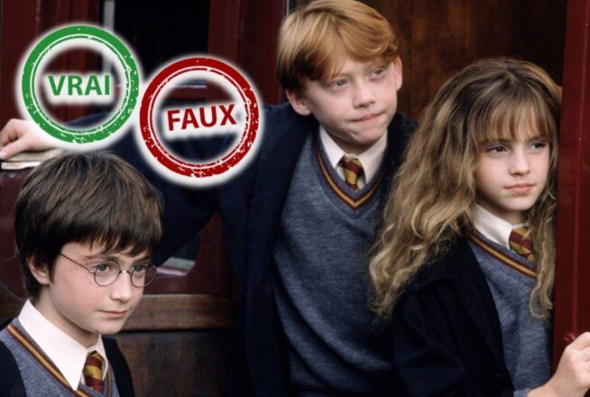 Harry Potter : impossible d’avoir 5/5 à ce quiz vrai ou faux sur la saga