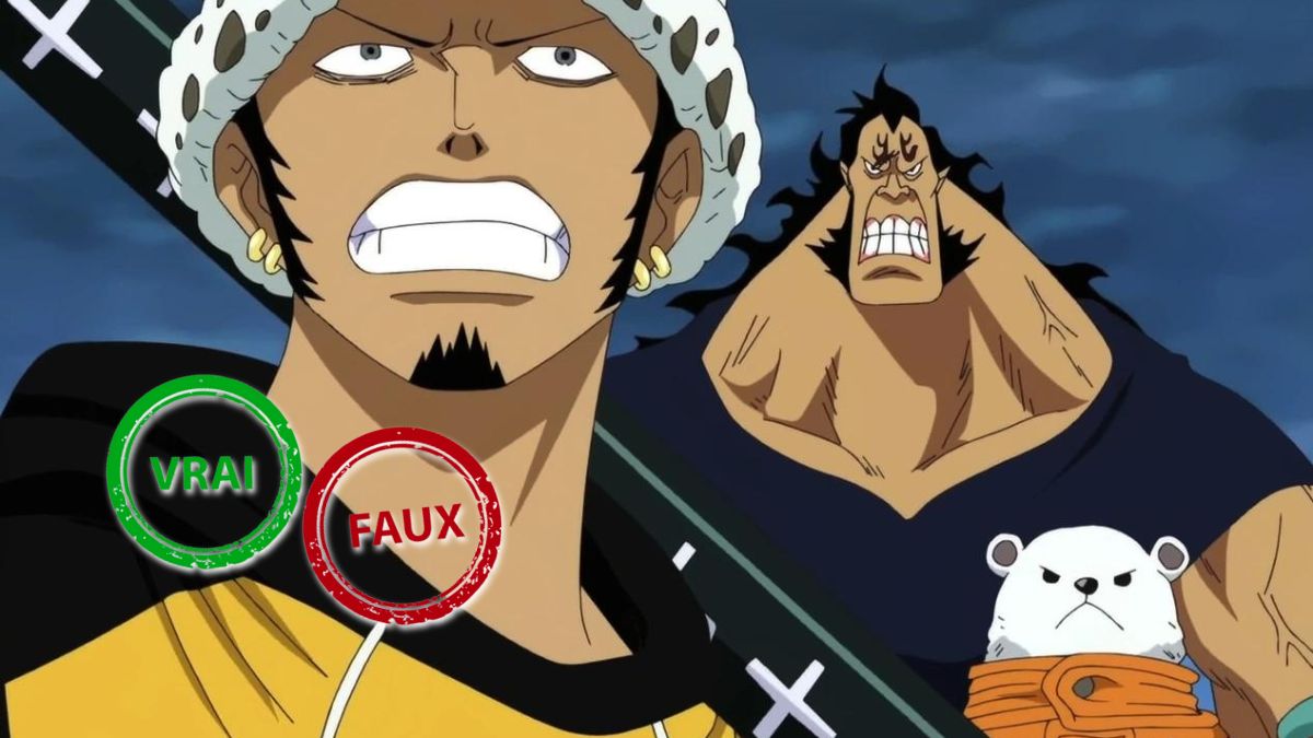 One Piece : seul un Empereur aura 10/10 à ce quiz en vrai ou faux sur l'équipage du Heart