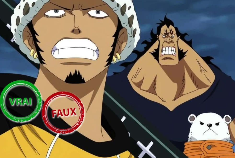 One Piece : seul un Empereur aura 10/10 à ce quiz en vrai ou faux sur l’équipage du Heart