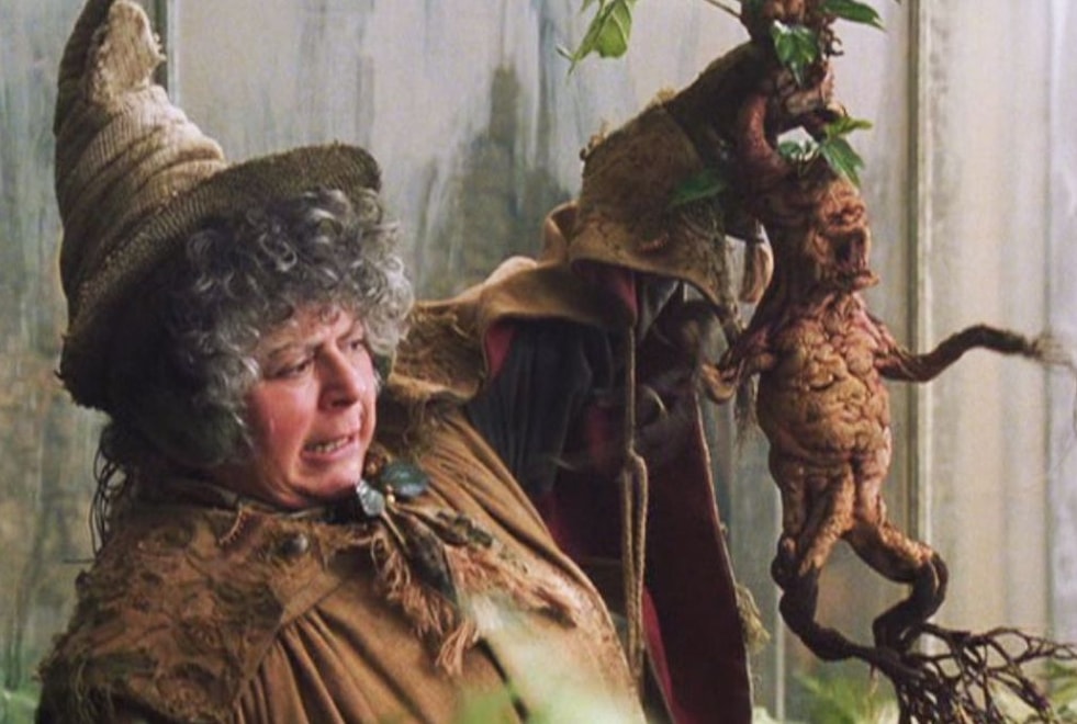 Harry Potter : « C’est pour les enfants », Miriam Margolyes (Chourave) se dit inquiète pour les fans adultes de la saga